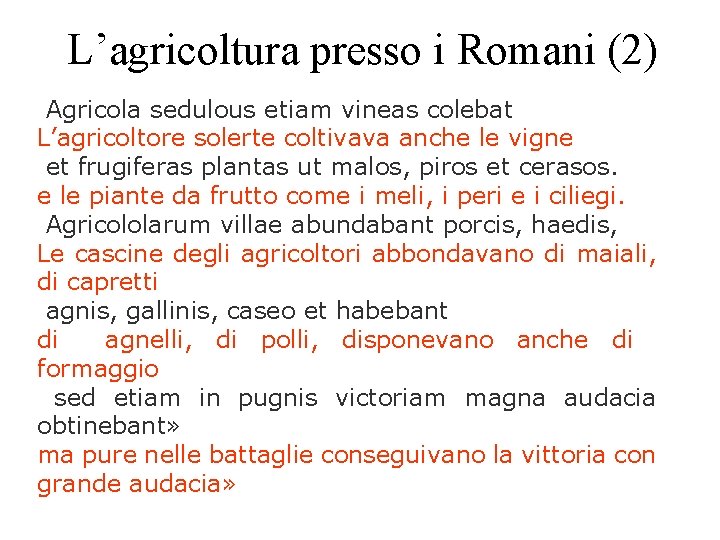 L’agricoltura presso i Romani (2) Agricola sedulous etiam vineas colebat L’agricoltore solerte coltivava anche L’agricoltura presso i Romani (2) Agricola sedulous etiam vineas colebat L’agricoltore solerte coltivava anche