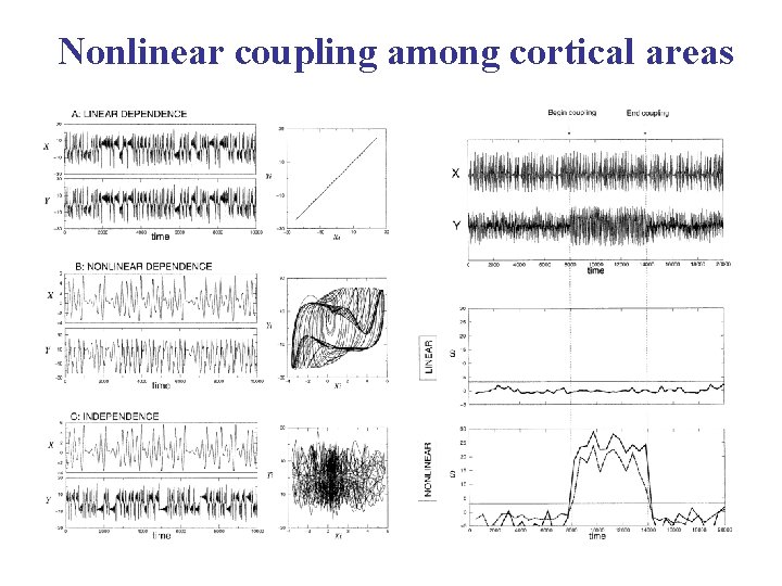 Correlated neuronal activity and the flow of neural