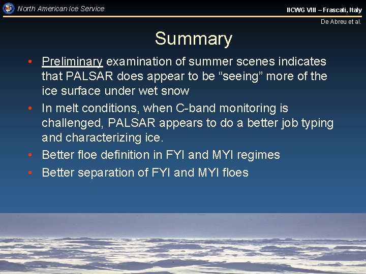 North American Ice Service IICWG VIII – Frascati, Italy De Abreu et al. Summary