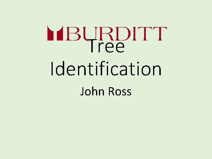 Tree Identification John Ross 