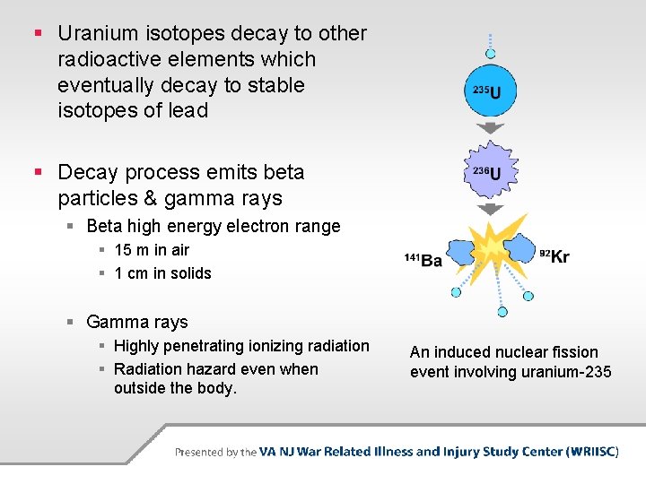 § Uranium isotopes decay to other radioactive elements which eventually decay to stable isotopes