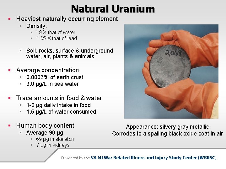 Natural Uranium § Heaviest naturally occurring element § Density: § 19 X that of