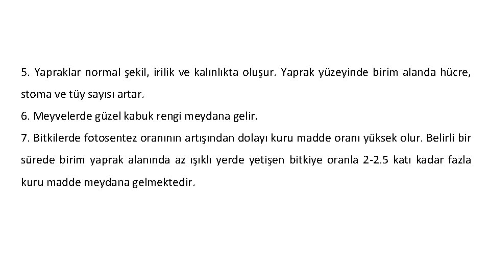 5. Yapraklar normal şekil, irilik ve kalınlıkta oluşur. Yaprak yüzeyinde birim alanda hücre, stoma