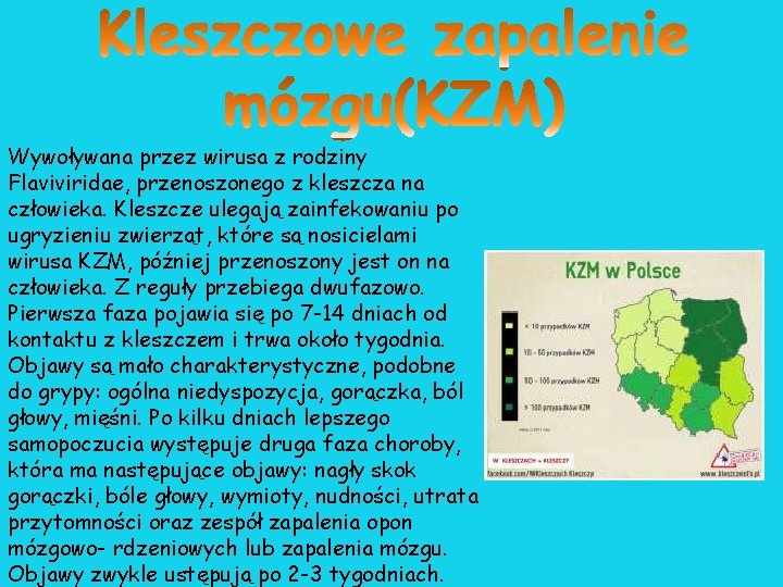 Wywoływana przez wirusa z rodziny Flaviviridae, przenoszonego z kleszcza na człowieka. Kleszcze ulegają zainfekowaniu Wywoływana przez wirusa z rodziny Flaviviridae, przenoszonego z kleszcza na człowieka. Kleszcze ulegają zainfekowaniu