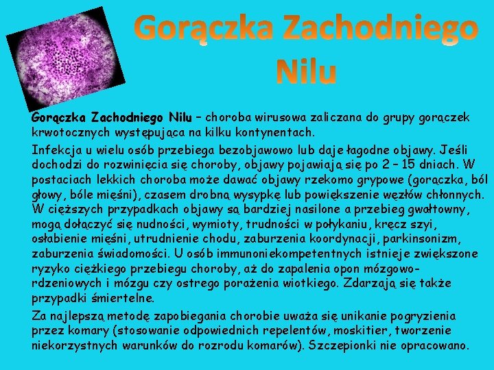 Gorączka Zachodniego Nilu – choroba wirusowa zaliczana do grupy gorączek krwotocznych występująca na kilku Gorączka Zachodniego Nilu – choroba wirusowa zaliczana do grupy gorączek krwotocznych występująca na kilku