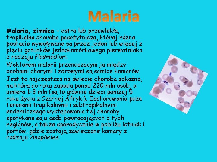 Malaria, zimnica – ostra lub przewlekła, tropikalna choroba pasożytnicza, której różne postacie wywoływane są Malaria, zimnica – ostra lub przewlekła, tropikalna choroba pasożytnicza, której różne postacie wywoływane są