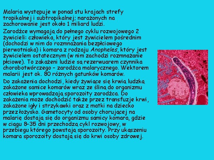Malaria występuje w ponad stu krajach strefy tropikalnej i subtropikalnej; narażonych na zachorowanie jest Malaria występuje w ponad stu krajach strefy tropikalnej i subtropikalnej; narażonych na zachorowanie jest