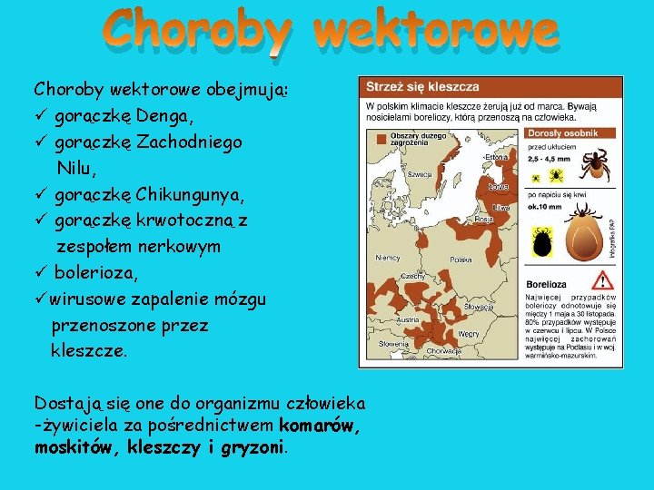 Choroby wektorowe obejmują: ü gorączkę Denga, ü gorączkę Zachodniego Nilu, ü gorączkę Chikungunya, ü Choroby wektorowe obejmują: ü gorączkę Denga, ü gorączkę Zachodniego Nilu, ü gorączkę Chikungunya, ü