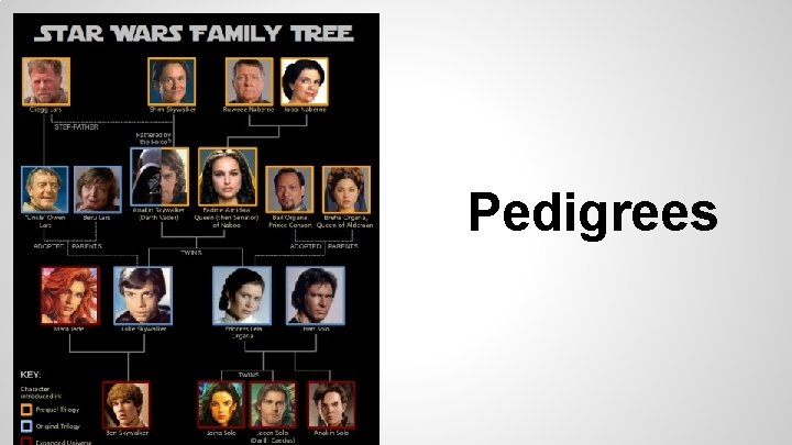 Pedigrees 
