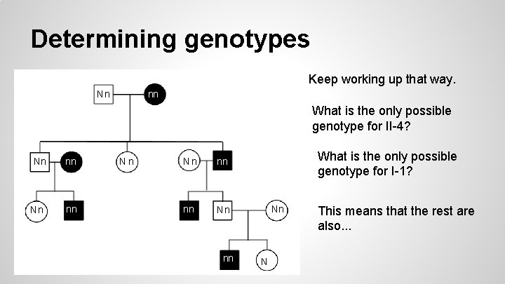 Determining genotypes Keep working up that way. Nn nn What is the only possible