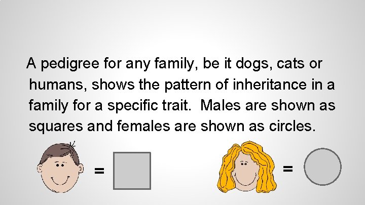 A pedigree for any family, be it dogs, cats or humans, shows the pattern