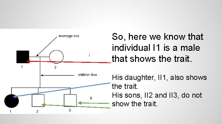 So, here we know that individual I 1 is a male that shows the