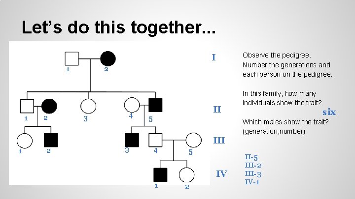 Let’s do this together. . . Observe the pedigree. Number the generations and each