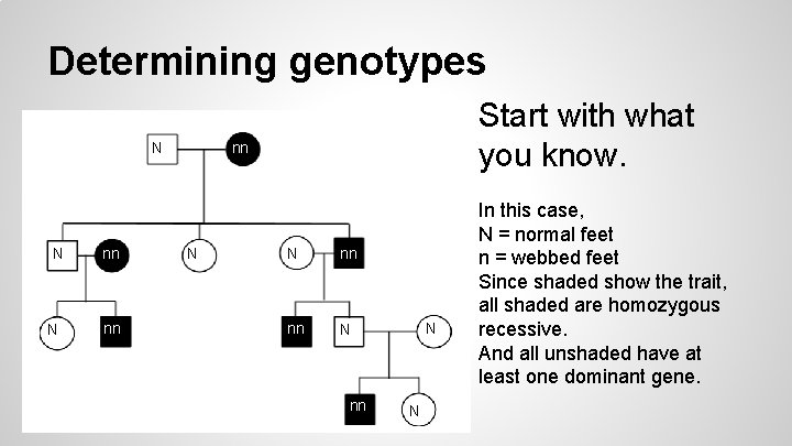 Determining genotypes N N N nn nn Start with what you know. nn N