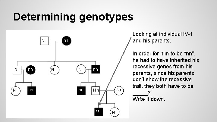 Determining genotypes N N N nn nn Looking at individual IV-1 and his parents.