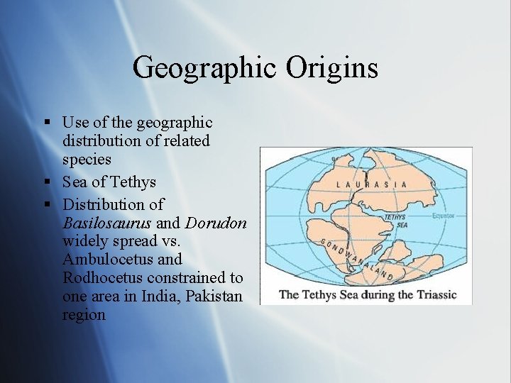 Geographic Origins § Use of the geographic distribution of related species § Sea of