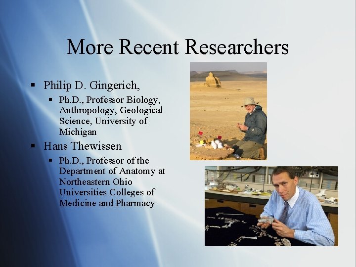 More Recent Researchers § Philip D. Gingerich, § Ph. D. , Professor Biology, Anthropology,