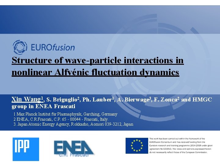 Structure of wave-particle interactions in nonlinear Alfvénic fluctuation dynamics Xin Wang 1, S. Briguglio