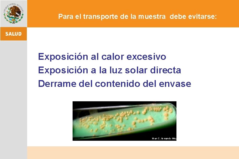 Para el transporte de la muestra debe evitarse: Exposición al calor excesivo Exposición a