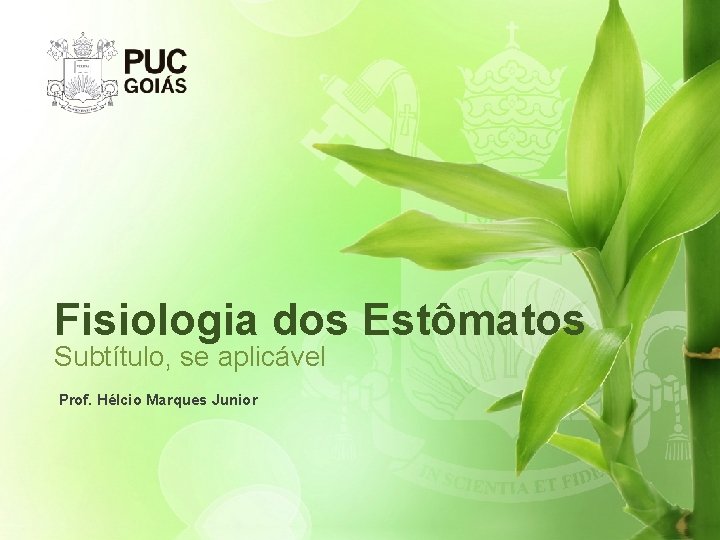 Fisiologia dos Estômatos Subtítulo, se aplicável Prof. Hélcio Marques Junior 