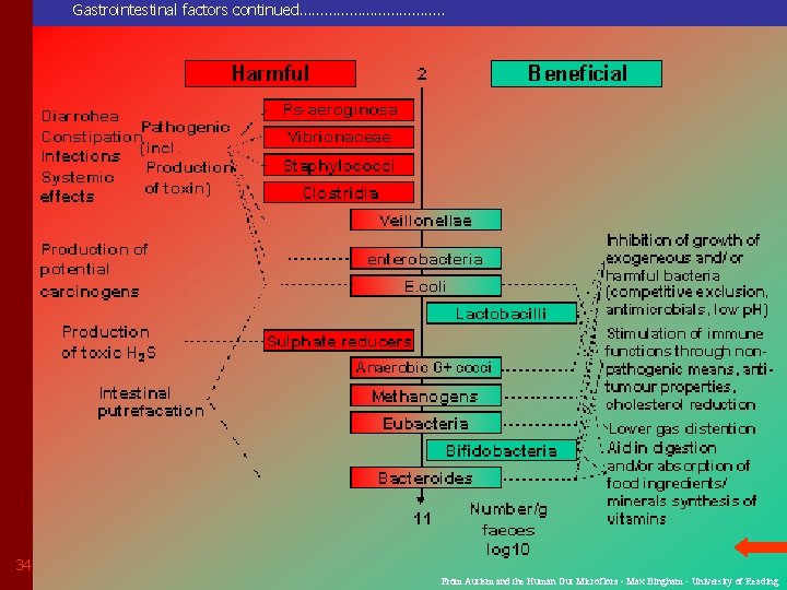 Gastrointestinal factors continued………………. . 34 From Autism and the Human Gut Microflora - Max