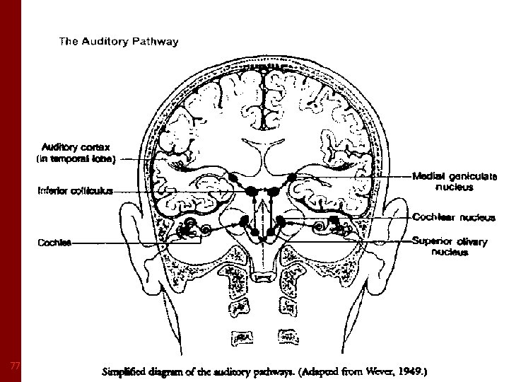 SOUND THERAPY………. 77 