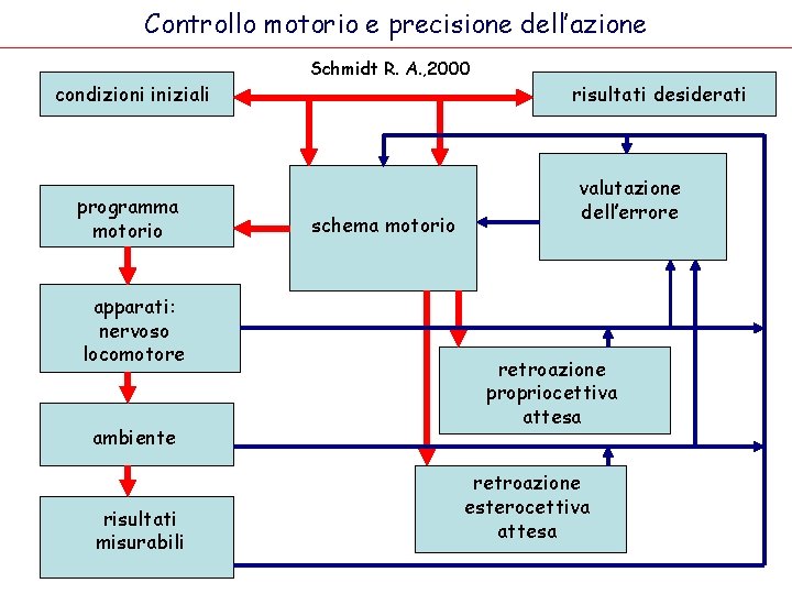 Controllo motorio e precisione dell’azione condizioni iniziali programma motorio apparati: nervoso locomotore ambiente risultati