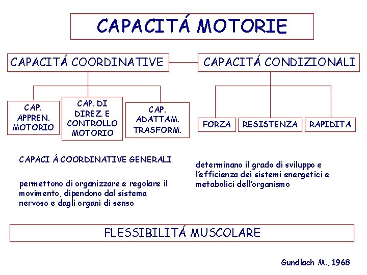 CAPACITÁ MOTORIE CAPACITÁ COORDINATIVE CAP. APPREN. MOTORIO CAP. DI DIREZ. E CONTROLLO MOTORIO CAP.