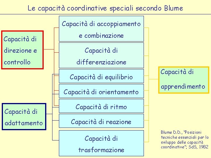 Le capacità coordinative speciali secondo Blume Capacità di accoppiamento Capacità di direzione e controllo
