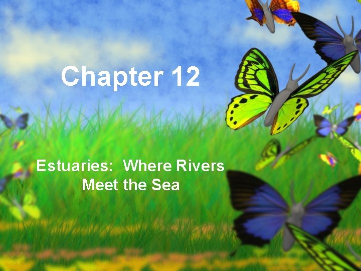 Chapter 12 Estuaries: Where Rivers Meet the Sea 