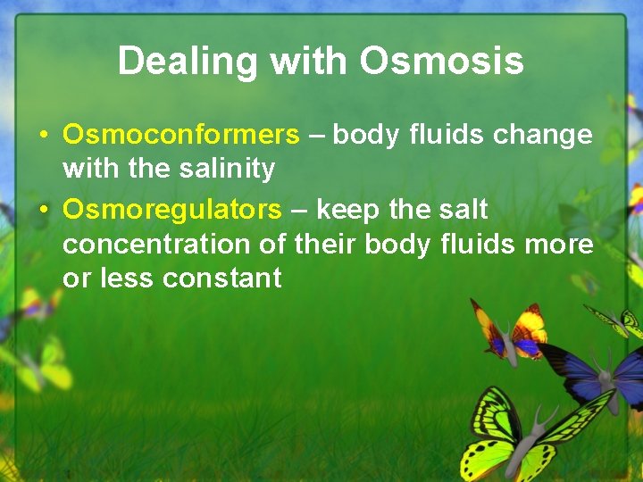 Dealing with Osmosis • Osmoconformers – body fluids change with the salinity • Osmoregulators