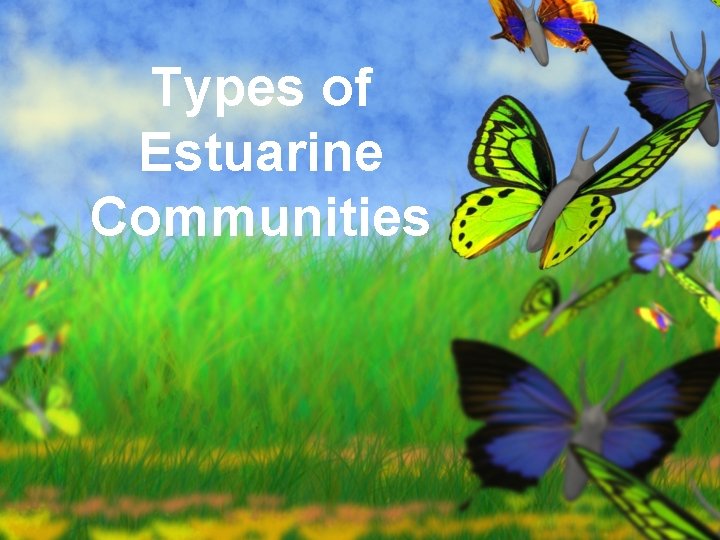 Types of Estuarine Communities 