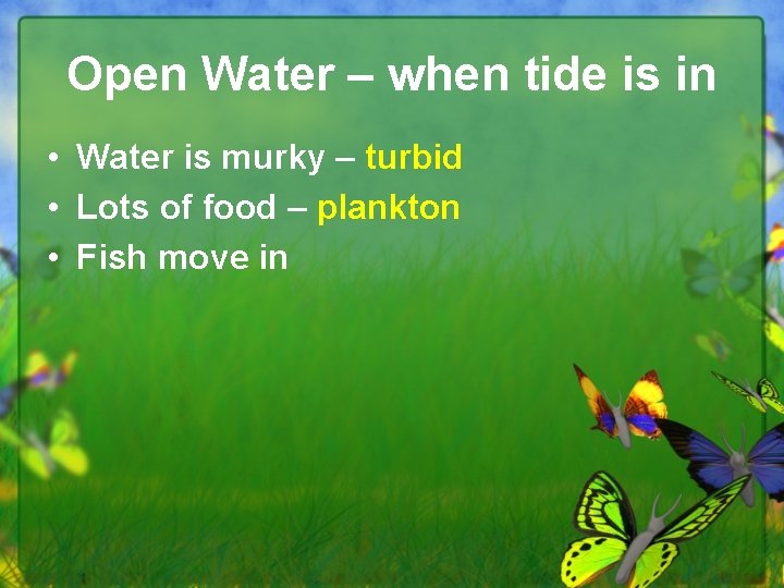 Open Water – when tide is in • Water is murky – turbid •