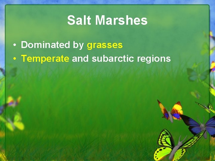 Salt Marshes • Dominated by grasses • Temperate and subarctic regions 
