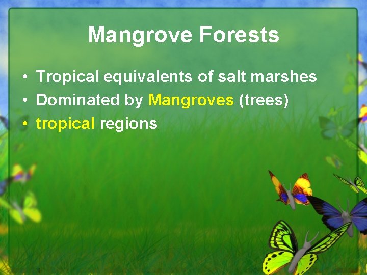 Mangrove Forests • Tropical equivalents of salt marshes • Dominated by Mangroves (trees) •