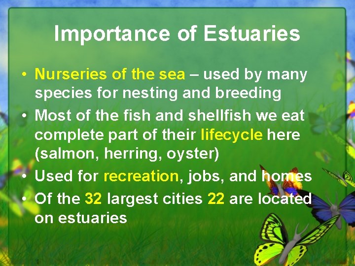 Importance of Estuaries • Nurseries of the sea – used by many species for