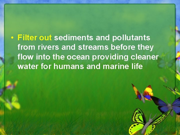  • Filter out sediments and pollutants from rivers and streams before they flow