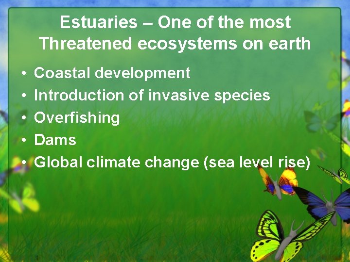 Estuaries – One of the most Threatened ecosystems on earth • • • Coastal