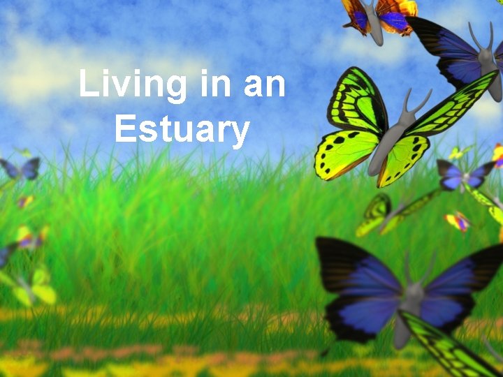 Living in an Estuary 