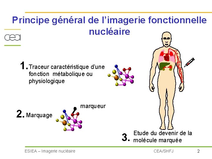 Principe général de l’imagerie fonctionnelle nucléaire 1. Traceur caractéristique d’une fonction métabolique ou physiologique