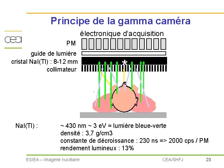 Principe de la gamma caméra électronique d’acquisition PM guide de lumière cristal Na. I(Tl)