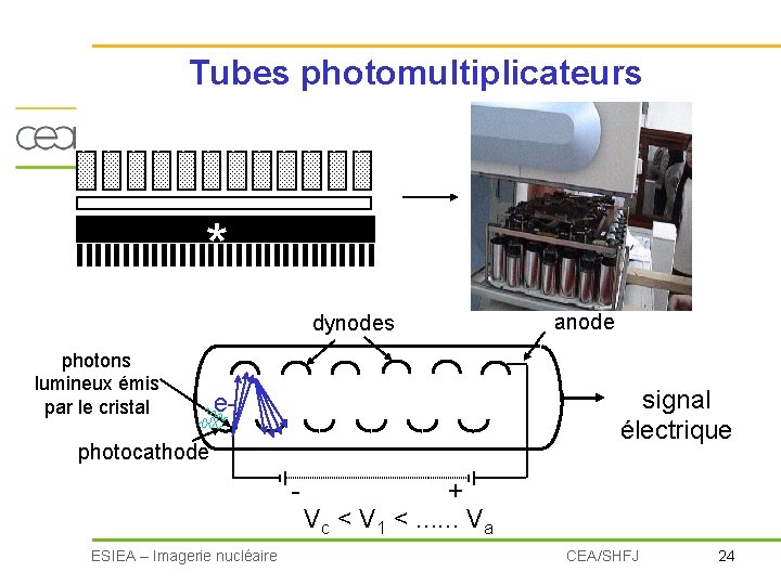 Tubes photomultiplicateurs * dynodes photons lumineux émis par le cristal signal électrique e- photocathode