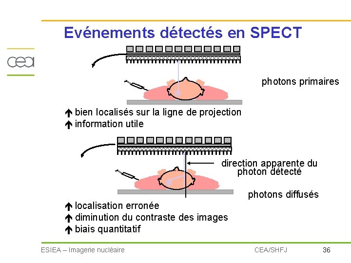 Evénements détectés en SPECT photons primaires * é bien localisés sur la ligne de