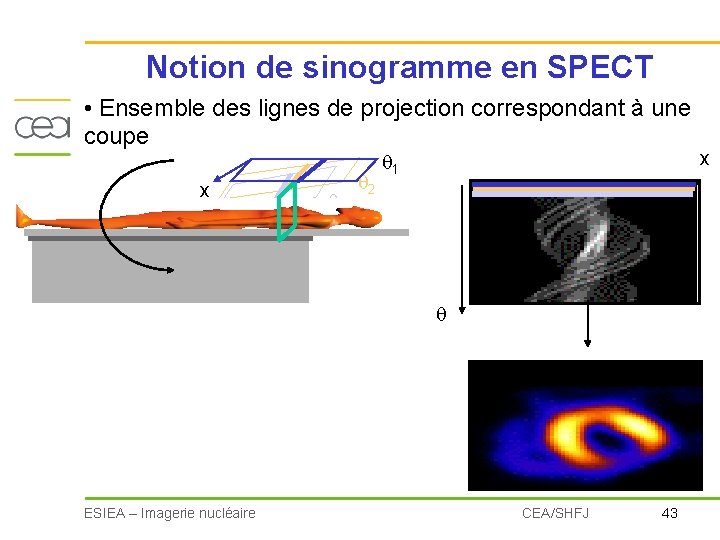 Notion de sinogramme en SPECT • Ensemble des lignes de projection correspondant à une