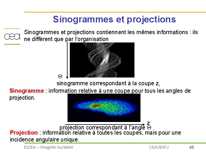 Sinogrammes et projections contiennent les mêmes informations : ils ne diffèrent que par l’organisation