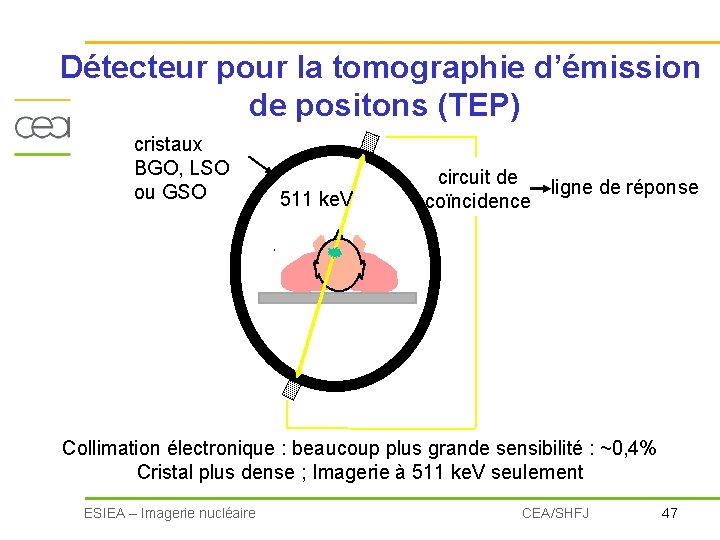 Détecteur pour la tomographie d’émission de positons (TEP) cristaux BGO, LSO ou GSO 511