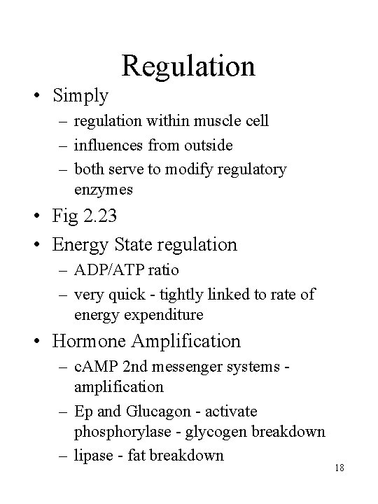 Regulation • Simply – regulation within muscle cell – influences from outside – both