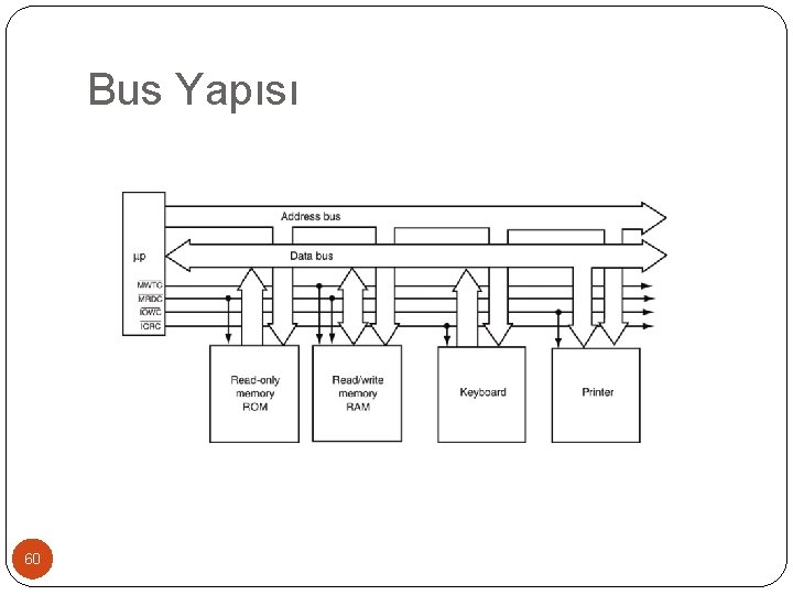 Bus Yapısı 60 