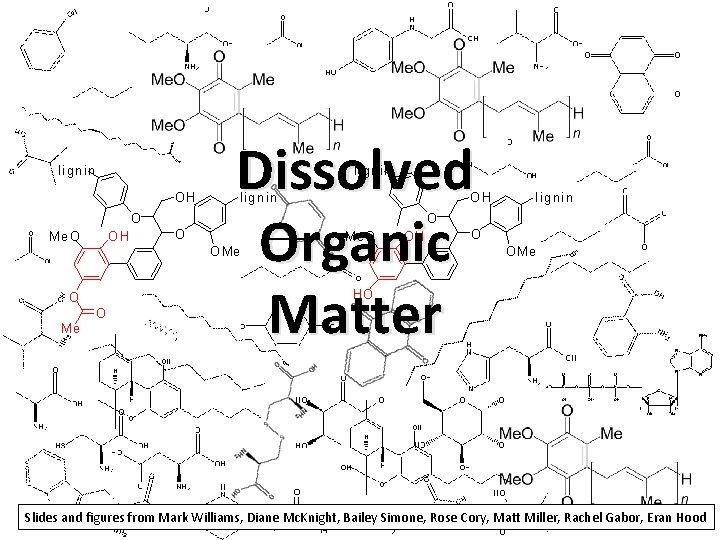 lignin Dissolved Organic Matter lignin OH O Me O OH lignin OH O O