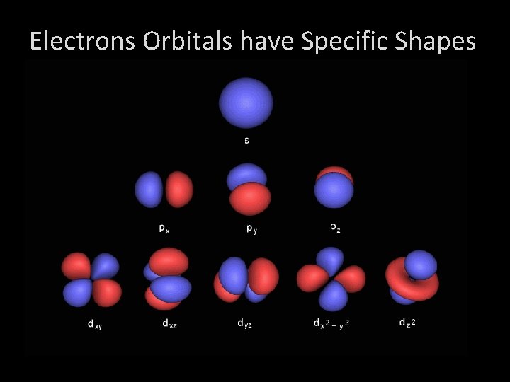 Electrons Orbitals have Specific Shapes 